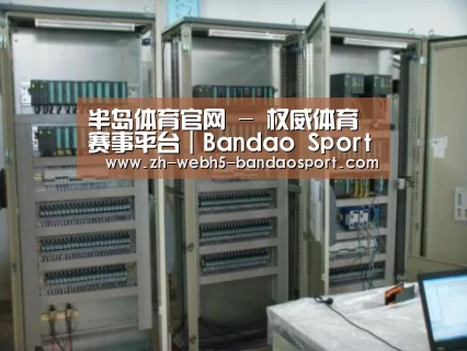 半岛体育网址案例展示五
