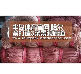 半岛体育官网|哈尔滨打造3条景观廊道与14个特色景观分区(图2) 半岛体育官网|哈尔滨打造3条景观廊道与14个特色景观分区(图2)